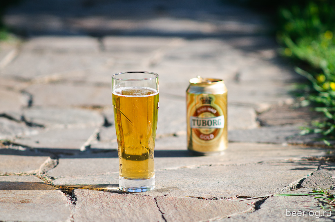 Tureckij Tuborg Gold Blog O Pive I Domashnem Pivovarenii